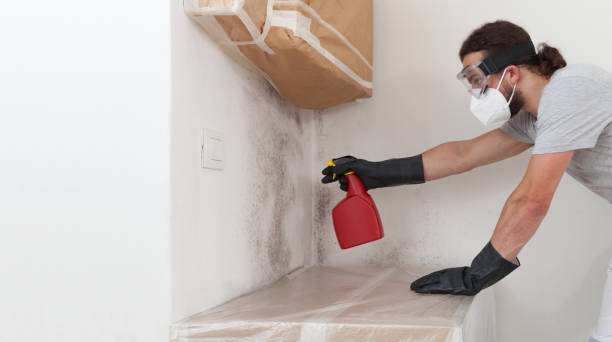 Professional Bathroom Mold Removal technician working in Alexandria, PA