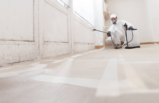 24/7 Emergency Bathroom Mold Removal experts in Alexandria, PA