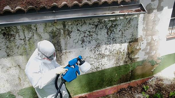 Top rated local Bathroom Mold Removal specialists in Alexandria, PA